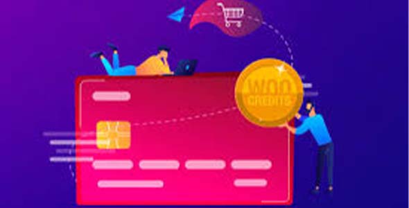 33 Woo Credits Platinum nulled plugin